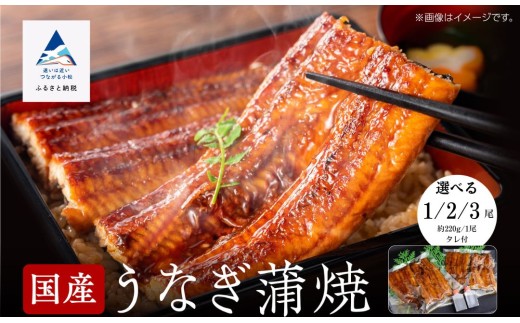 国産うなぎ蒲焼3尾_真空パック