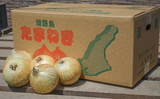 淡路島産玉ねぎ苗中手玉ねぎ500本 淡路島産玉ねぎ苗50本送料無料の通販 by RH｜ラクマ