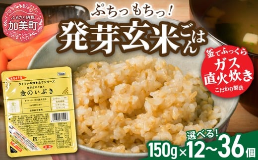 米 玄米 パックごはん 宮城県産「 金のいぶき 」発芽玄米 パックご飯 ( 150g × 12個 )  選べる 1個口 2個口 3個口 ＜ 宮城 ブランド 玄米 ＞ レトルト ごはん ご飯 レトルトごはん レンジ アウトドア キャンプ 備蓄 非常食セット 非常食 防災グッズ 保存食 常備 震災 防災  | JA加美よつば 宮城県 加美町  yo00005-oya
