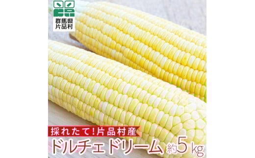 片品村産とうもろこし (品種：ドルチェドリーム) 1箱 約5kg とうもろこし ドルチェドリーム スイートコーン 片品村 トウモロコシ