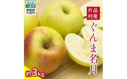 ぐんま名月 りんご 約3kg