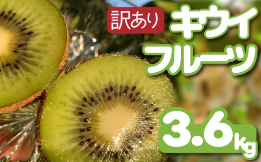 【先行予約】【12月上旬~順次発送】 訳あり キウイフルーツ 3.6kg 腸活 グリーンキウイ 健康 甘い キウイ フルーツ 無選別 みつばちキウイ 規格外 デザート 果物 くだもの 国産 愛知県 南知多町 【配送不可地域：北海道 青森 秋田 岩手 沖縄 離島】 1413696 - 愛知県南知多町