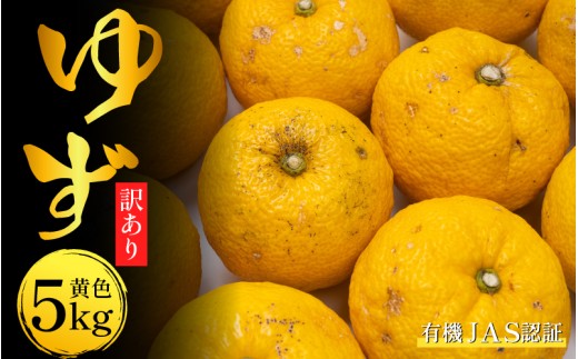 訳あり ゆず 有機ゆず 黄色ゆず 良品 5kg オーガニック 柚子 有機JAS 黄色柚子 健康 美容 柑橘 みかん フルーツ 果物 薬味 ジャム マーマレード 鍋 そうめん 柚子胡椒 果実酒 シロップ 徳島県 三好市 2188548 - 徳島県三好市