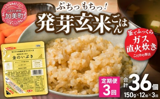 【 3回 毎月 定期便 】 金のいぶき 米 玄米 宮城県産 発芽玄米 パックごはん  ( 150g × 12個 ) 全3回 総計36個 玄米 レトルト ごはん ご飯 レトルトごはん レンジ レンチン かんたん パックライス ライス 米 簡単 お手軽 アウトドア キャンプ 備蓄 非常食 常備 ひとり暮らし 防災  [ 加美よつば農業協同組合 宮城県 加美町 ]  | yo00005-r7-3