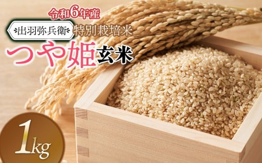 【令和6年産】特別栽培米 つや姫 【玄米】 1kg　山形県鶴岡市産　出羽弥兵衛 2198261 - 山形県鶴岡市