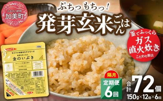 【 6回 隔月 定期便 】 金のいぶき 宮城県産 金のいぶき 発芽玄米 パックごはん 12個×6回 総計72個 [ JA加美よつば（生活課） 宮城県 加美町 ]  レトルト ごはん ご飯 レトルトごはん レンジ レンチン かんたん パックライス ライス 米 簡単 お手軽 アウトドア キャンプ 備蓄 非常食 常備 ひとり暮らし 防災   | yo00005-r7-6k 653201 - 宮城県加美町