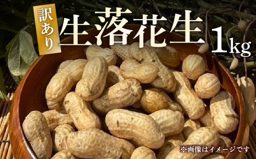 【期間限定】【訳あり】 落花生 1kg 京都府産 久御山町 おつまみ おやつ らっかせい 豆 殻 畑 京都 久御山町 藤村農園 wave village 