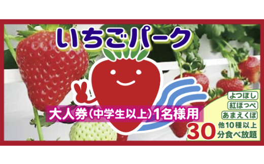 （大人中学生以上 2枚券）いちごパーク せせらぎファーム　いちご狩り30分食べ放題ペアチケット