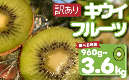 [先行予約][12月上旬~順次発送] 訳あり キウイフルーツ 960g~3.6kg 腸活 グリーンキウイ 健康 甘い キウイ フルーツ 無選別 みつばちキウイ 規格外 デザート 果物 くだもの 国産 愛知県 南知多町 [配送不可地域:北海道 青森 秋田 岩手 沖縄 離島]