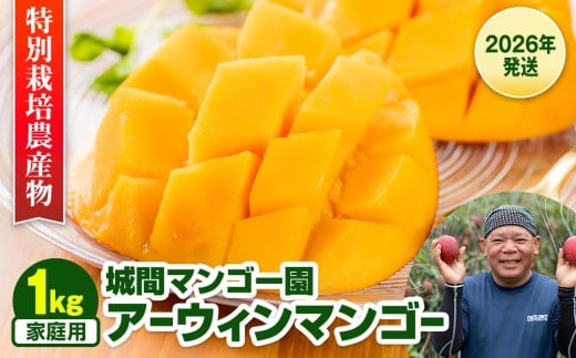 【2026年発送】城間マンゴー園　家庭用　アーウィンマンゴー1kg　特別栽培農産物