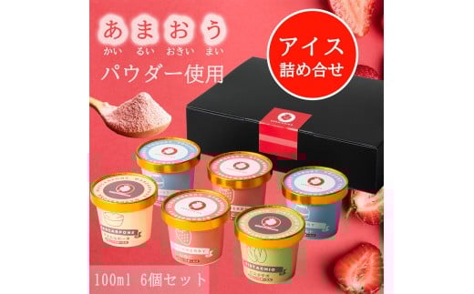 あまおうパウダー アイスクリーム 詰め合わせ【福岡市】100ml×6個入り