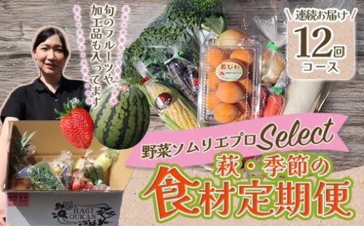 野菜ソムリエプロselect／萩・季節の食材定期便　12回コース　｜HG0T0038