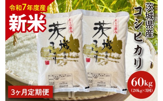 【令和7年度産　新米】【3ヶ月定期便】茨城県産コシヒカリ 20kg×3 【定期便 お米 ごはん こしひかり 老舗 米屋 おにぎり ごはん 茨城県 水戸市 60キロ】(HQ-106)