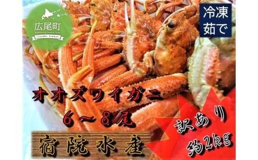 【訳あり】広尾産ボイルオオズワイガニ　約2kg（6～8尾）【かに　カニ　海産物　海鮮　ボイル　オオズワイガニ　北海道】(G0016)