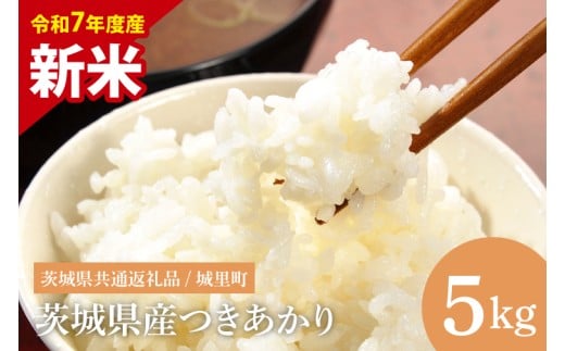 【数量限定】【令和7年度 新米】【8月下旬より順次発送】茨城県産つきあかり（茨城県共通返礼品/城里町）5kg【お米 米 おにぎり 粒が大きい 茨城県】（IH-1164） 1200250 - 茨城県水戸市
