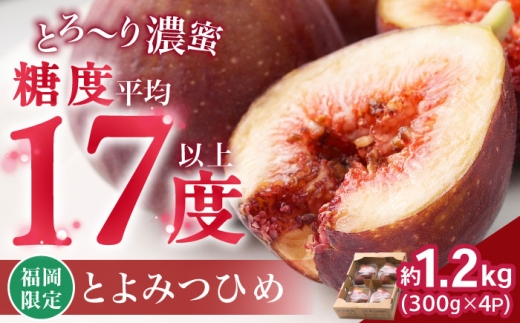 【2025年8月上旬より順次発送】福岡産ブランド無花果 とよみつひめ 約300g×4パック 吉富町/南国フルーツ株式会社 [BGAG012]