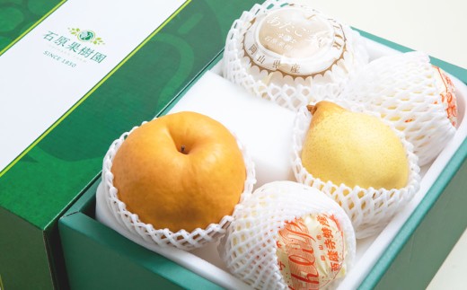 あたご梨 ・ 鴨梨 （ヤーリー） 詰合せ 合計約3kg 贈答箱 ／ 愛宕梨 梨 なし ナシ 果物  【2025年11月下旬～12月下旬発送予定】