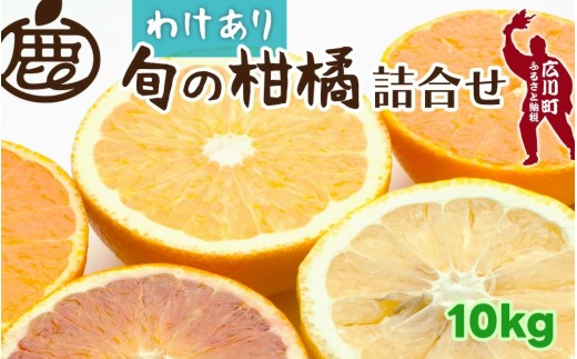 柑橘 詰合せ 10kg+250g 訳あり 光センサー / みかん 不知火 清見 八朔 伊予間 セミノール レモン ３種類以上 詰め合わせ 晩柑 ※1月上旬〜6月上旬に順次発送 ※北海道・沖縄・離島への配送不可【ikd049-c-10A】