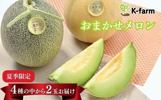 K-farmのおまかせメロン2玉 【0054-0001-01】