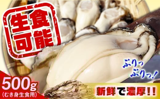 特選 牡蠣三昧！【生牡蠣】広島牡蠣　むき身500g 生食用 魚介類 海鮮 牡蠣 むき身 かき カキフライ カキ ギフト 広島県産 人気 送料無料 江田島市/株式会社門林水産 [XAO050]