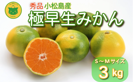 【2025年9月20日以降発送】 みかん 秀品 極早生みかん 3kg 蜜柑 ミカン 柑橘 旬 フルーツ 果実 ジュース 小松島市 甘い ジューシー デザート 産地直送