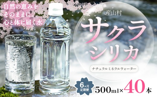 【6ヶ月定期便】サクラシリカ 500ml × 40本 みずの里《30日以内に出荷予定(土日祝除く)》熊本県 阿蘇郡 産山村 ミネラルウォーター シリカ 水 天然水 鉱水 ラベルレス ラベルなし