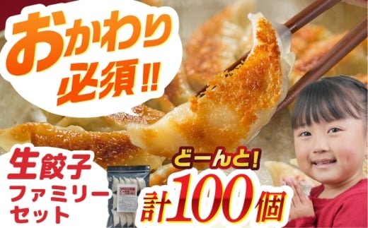 【人気】生餃子専門店「新助」の餃子！ファミリーセット(100個入り)　餃子 ぎょうざ ギョーザ　岐阜市 / ドルフィン株式会社 [ANHL003]