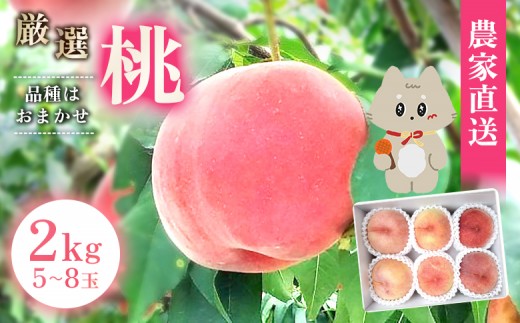 《7月中旬～9月中旬出荷》 宮城県丸森町産 桃 5～8玉（約2kg）【48004】