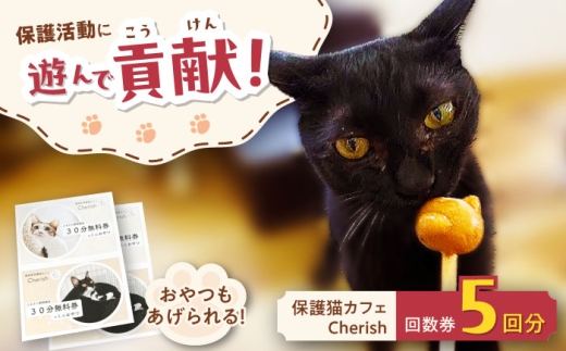 Cherish猫カフェ 回数券（5回分） 猫 ねこ ネコ 保護猫 支援 動物愛護 応援 大阪府高槻市／特定非営利活動Cherish [AODU002]