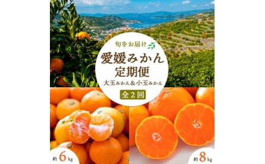 ＜発送月固定定期便＞＜2025年11月より発送＞みかん大玉8kg×小玉6kg＜E25-246＞全2回【4070081】