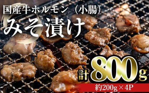 国産牛ホルモン（小腸）みそ漬け(計800g・約200g×4パック) 牛肉 ホルモン みそ漬け【おきどき】A816