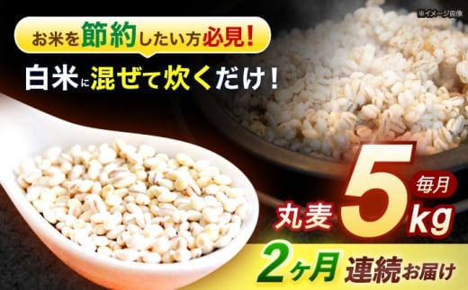 【2回定期便】長崎県産 丸麦 5kg / 麦 むぎ 雑穀 雑穀米 麦ごはん 麦飯 麦みそ 食物繊維 / 諫早市 / 有限会社伊東精麦 [AHBU013] 2195127 - 長崎県諫早市