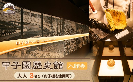甲子園歴史館の入館券(大人3名分) 2050270 - 兵庫県西宮市