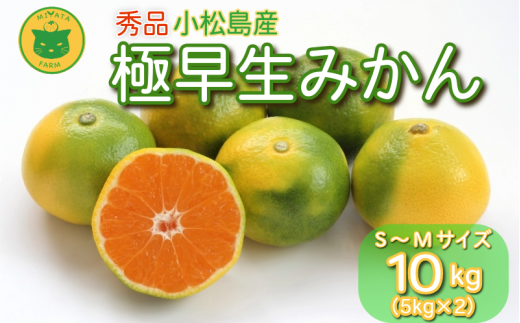 【2025年9月20日以降発送】 みかん 秀品 極早生みかん 10kg 蜜柑 ミカン 柑橘 旬 フルーツ 果実 ジュース 小松島市 甘い ジューシー デザート 産地直送