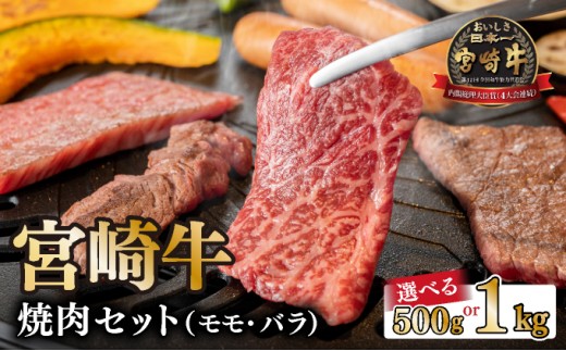 [内容量が選べる][宮崎牛]焼肉セット 合計500g(モモ300g、バラ200g)または 合計1kg(モモ600g、バラ400g) [KU031]