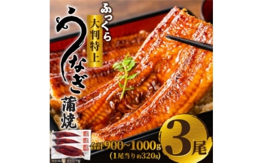 ふっくら大判特上うなぎ蒲焼　計約900～1000g(約320g×3尾)【1646345】