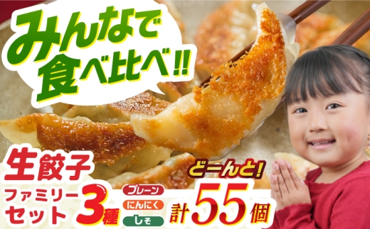 【大好評】食べ比べ生餃子！ファミリーセット(55個入り) 餃子 ぎょうざ ギョーザ　岐阜市 / ドルフィン株式会社 [ANHL004]
