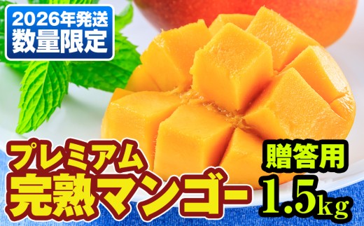 【2026年発送】数量限定！プレミアム完熟マンゴー1.5kg　贈答用