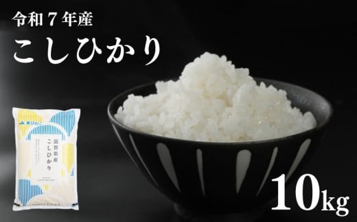 【令和7年産先行受付】 こしひかり 10kg 令和7年産 5kg×2袋 新米 米 精米 こめ コメ お米 ご飯 米 コシヒカリ 10キロ 先行受付 滋賀 彦根