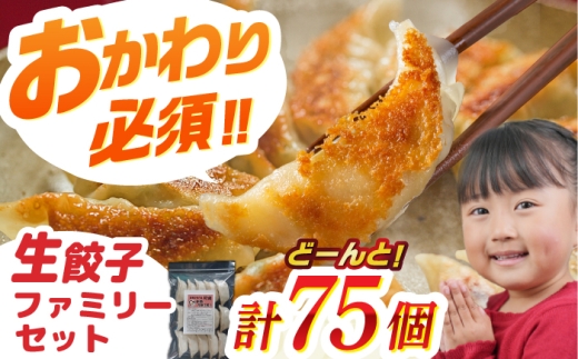 【人気】生餃子専門店「新助」の餃子！ファミリーセット(75個入り)　餃子 ぎょうざ ギョーザ　岐阜市 / ドルフィン株式会社 [ANHL002]