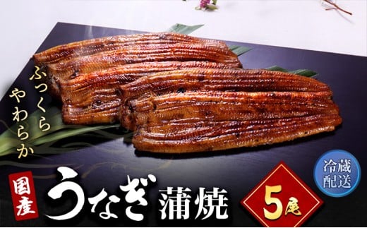 うなぎ 国産 長蒲焼 5尾 小分け 詰め合わせ 国産 うなぎ蒲焼 国産うなぎ 惣菜 おかず ギフト 贈答 贈答用 贈答品 土用の丑の日 丑の日 レンジ調理 レンチン 蒲焼き うな重 鰻 真空パック 冷蔵 冷蔵配送 静岡 静岡県 浜松市 [№5786-1967]