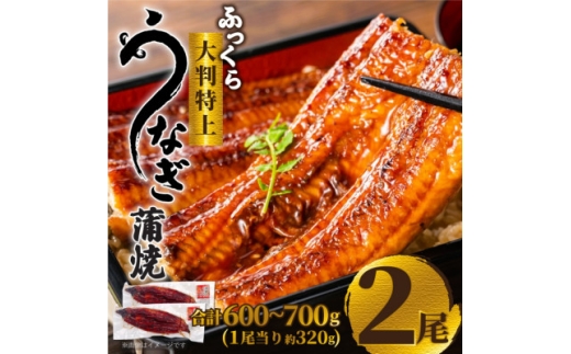 大野城市限定!ふっくら大判特上うなぎ蒲焼　計約600～700g(約320g×2尾)【1646340】