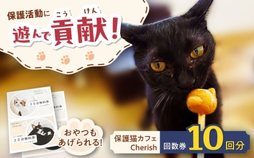 Cherish猫カフェ 回数券（10回分） 猫 ねこ ネコ 保護猫 支援 動物愛護 応援 大阪府高槻市／特定非営利活動Cherish [AODU003]