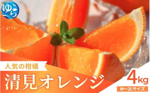 【来シーズン先行予約】家庭用 清見オレンジ 4kg   ※2026年3月上中旬～順次発送 / 清見 みかん 晩柑 人気 柑橘 スマイルカット  蜜柑 フルーツ 果物 くだもの 食品 人気 おすすめ 送料無料 産地直送 和歌山県 由良町【kzmn013】 1979364 - 和歌山県由良町