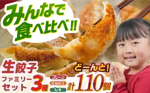 【大好評】食べ比べ生餃子！ファミリーセット(110個入り) 餃子 ぎょうざ ギョーザ　岐阜市 / ドルフィン株式会社 [ANHL006]