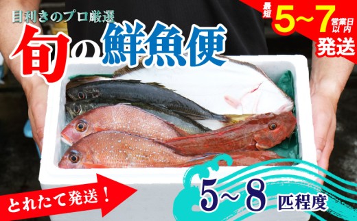 鮮魚 旬 獲れたて セット [5～8匹] 鮮魚便 海鮮 魚貝類 魚介類 鮮魚 旬 獲れたて セット 詰め合わせ さかな おさかな 魚 海の幸 福袋 FISH ごはん 夕飯 おかず 今が旬 刺身 刺し身 おつまみ 晩酌 米 丼 三陸産 岩手県 大船渡市 2217851 - 岩手県大船渡市