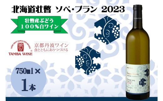 北海道壮瞥産 ソペ・ブラン2023(辛口白ワイン) 750ml 【 ふるさと納税 人気 おすすめ ランキング 北海道 壮瞥 ワイン シャルドネ ピノ・ブラン ぶどう 葡萄 酒 白 辛口 贈り物 贈物 贈答 ギフト 大容量 詰合せ セット 北海道 壮瞥町 送料無料 】 SBTA084