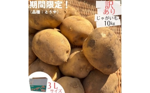 産地直送!訳ありお芋屋さんのBigじゃがいも(品種:とうや)10kg【1645283】