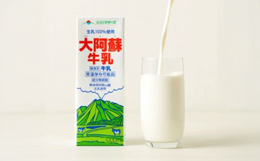 【全12回定期便】大阿蘇 牛乳 1000ml 紙パック 6本入【合同会社 たべたせいか】 [BHBY026]