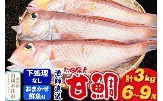 《予約受付》漁師直送 甘鯛（あまだい）3kg＋おまかせ鮮魚 秋田県産【下処理なし】 295126 - 秋田県由利本荘市